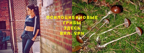 гидропоника Балабаново